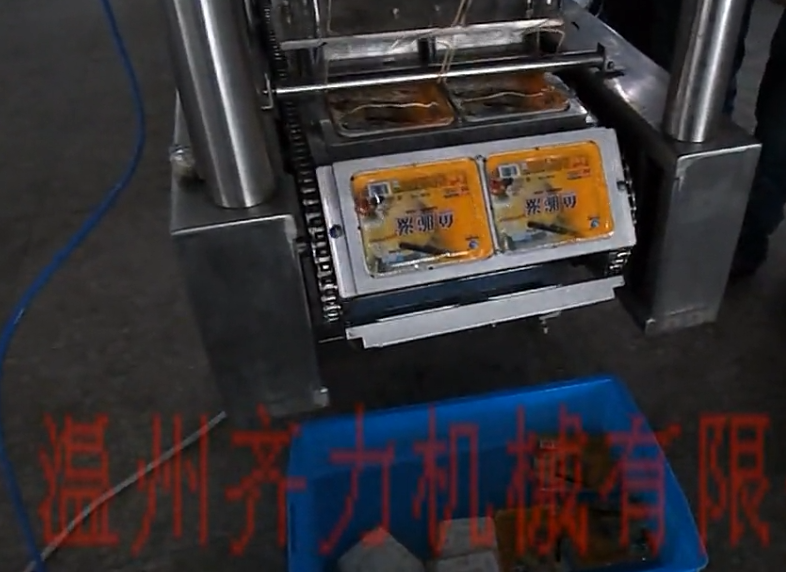 冷冻豆腐抽真空封口机-两盒